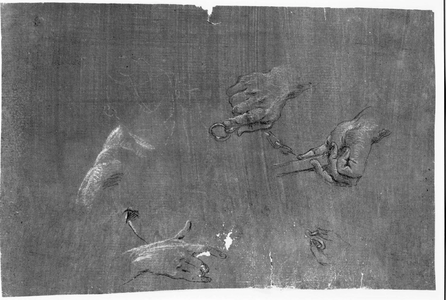 Mani - Museo Civico di Castelvecchio, Verona